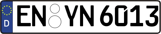 EN-YN6013