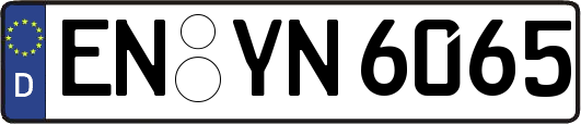 EN-YN6065
