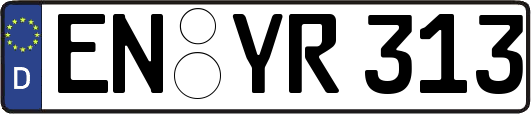 EN-YR313