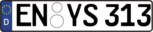 EN-YS313