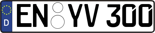 EN-YV300