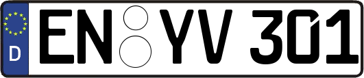 EN-YV301