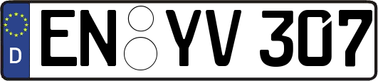 EN-YV307