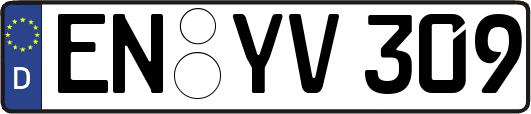 EN-YV309