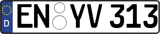 EN-YV313
