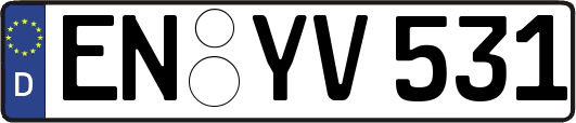EN-YV531