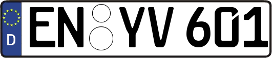 EN-YV601