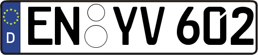EN-YV602