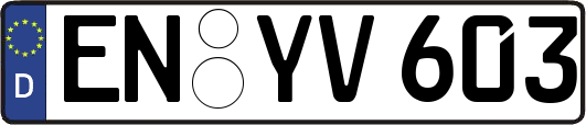 EN-YV603