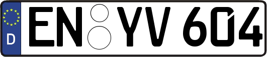 EN-YV604