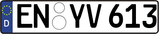 EN-YV613