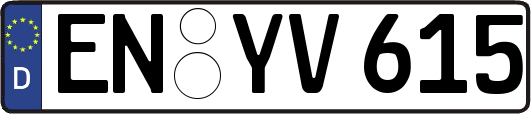 EN-YV615
