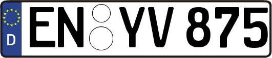 EN-YV875