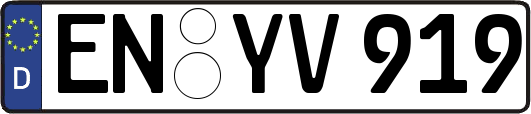 EN-YV919