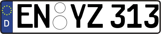 EN-YZ313