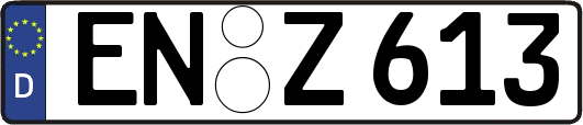 EN-Z613