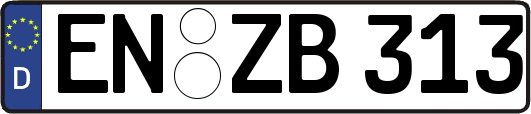 EN-ZB313