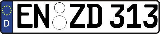 EN-ZD313