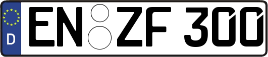 EN-ZF300