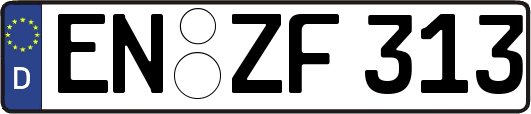 EN-ZF313