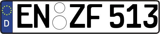 EN-ZF513