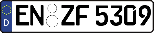 EN-ZF5309