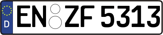 EN-ZF5313