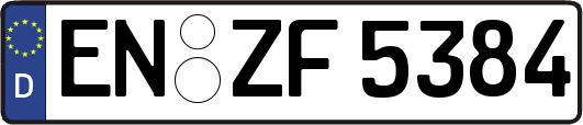 EN-ZF5384