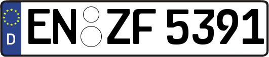 EN-ZF5391