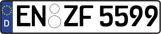 EN-ZF5599