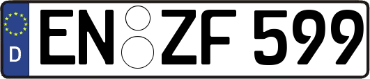 EN-ZF599