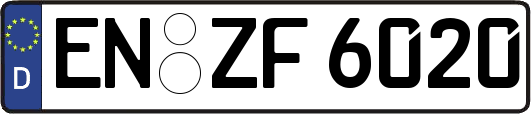 EN-ZF6020