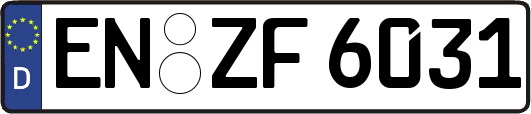 EN-ZF6031