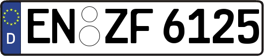 EN-ZF6125