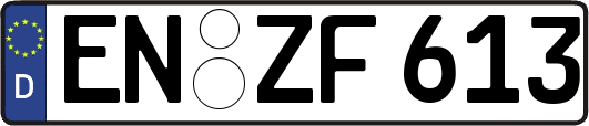 EN-ZF613