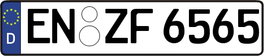 EN-ZF6565