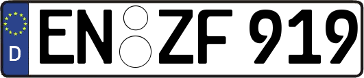 EN-ZF919