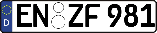 EN-ZF981