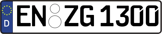 EN-ZG1300