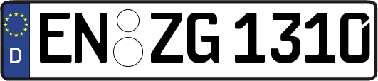 EN-ZG1310