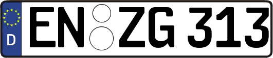 EN-ZG313