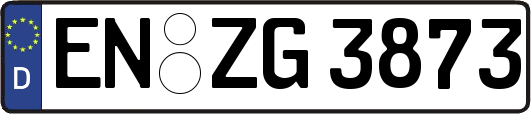 EN-ZG3873