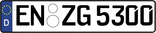 EN-ZG5300