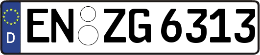 EN-ZG6313