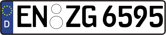 EN-ZG6595