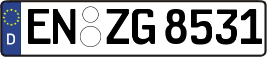 EN-ZG8531