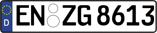 EN-ZG8613