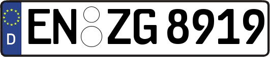 EN-ZG8919