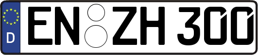 EN-ZH300