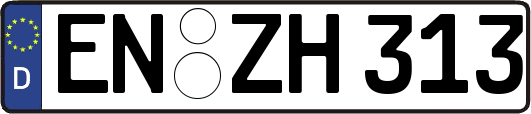 EN-ZH313
